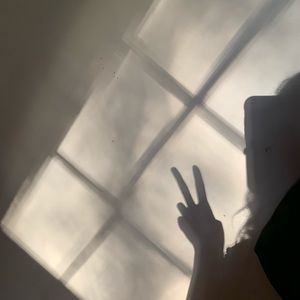 Meet your Posher, Bailey